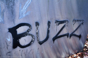 Buzz